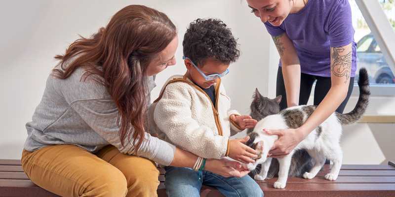 A family meeting kittens in a no-kill shelter